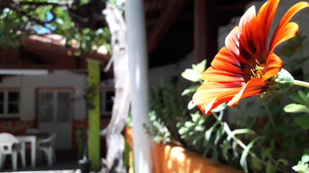 Hospedaje Don Alberto Hotel Potrerillos Luaran gambar